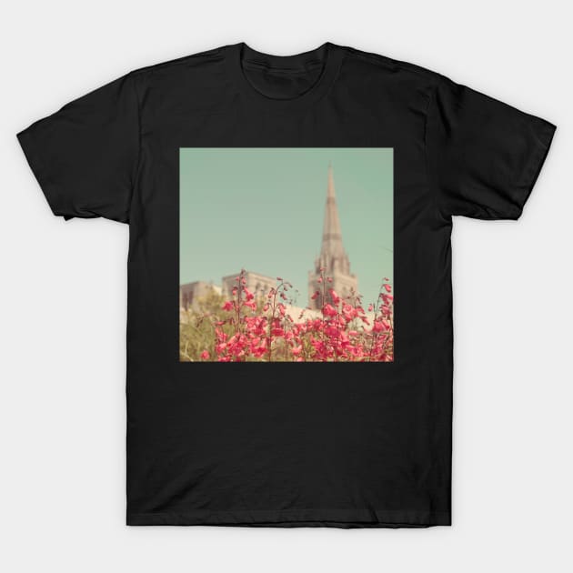 Summer of Yesteryear T-Shirt by Debra Cox 